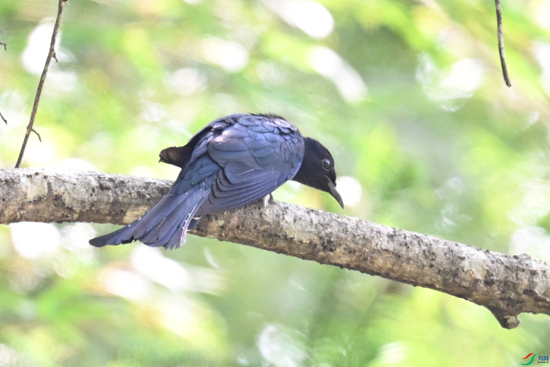 DSC_0802.JPG