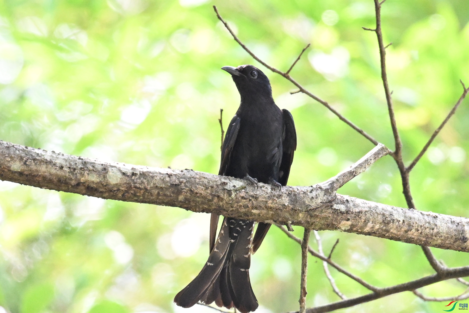 DSC_0763.JPG