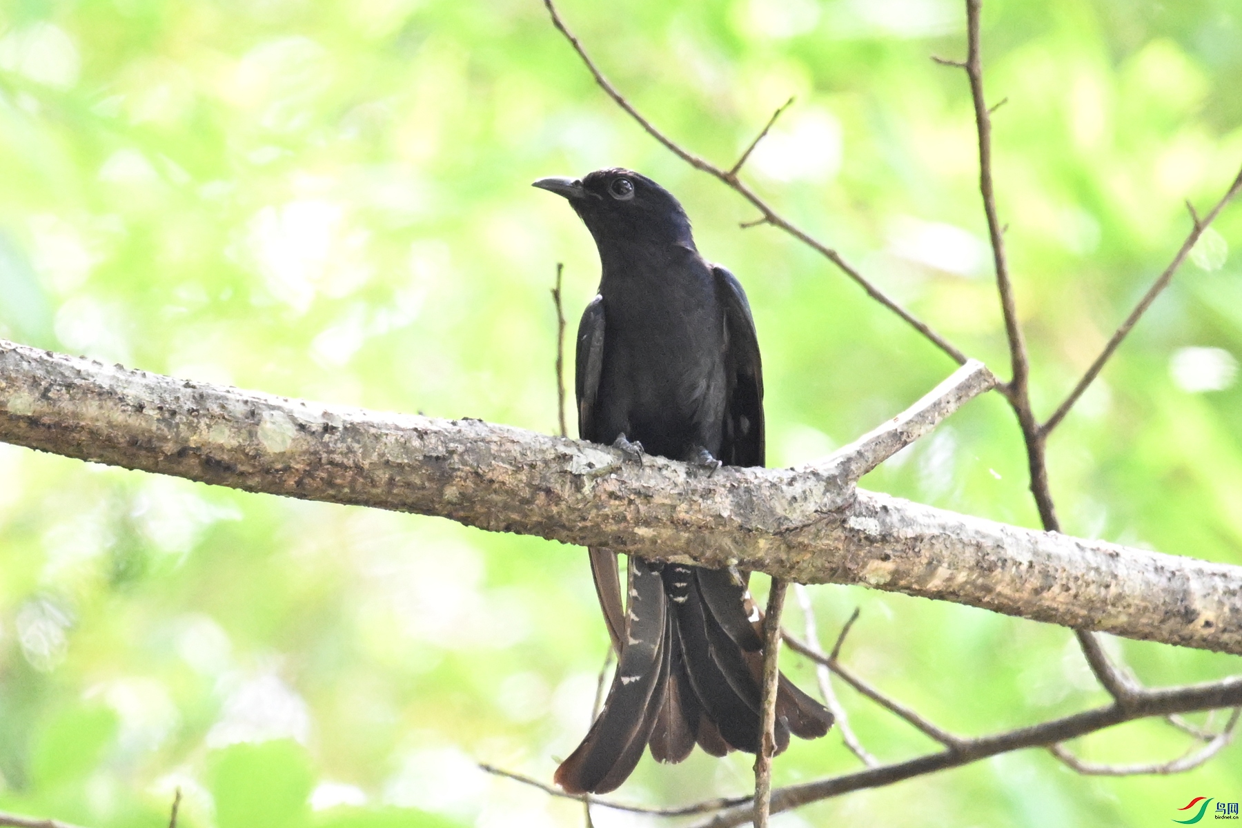 DSC_0772.JPG