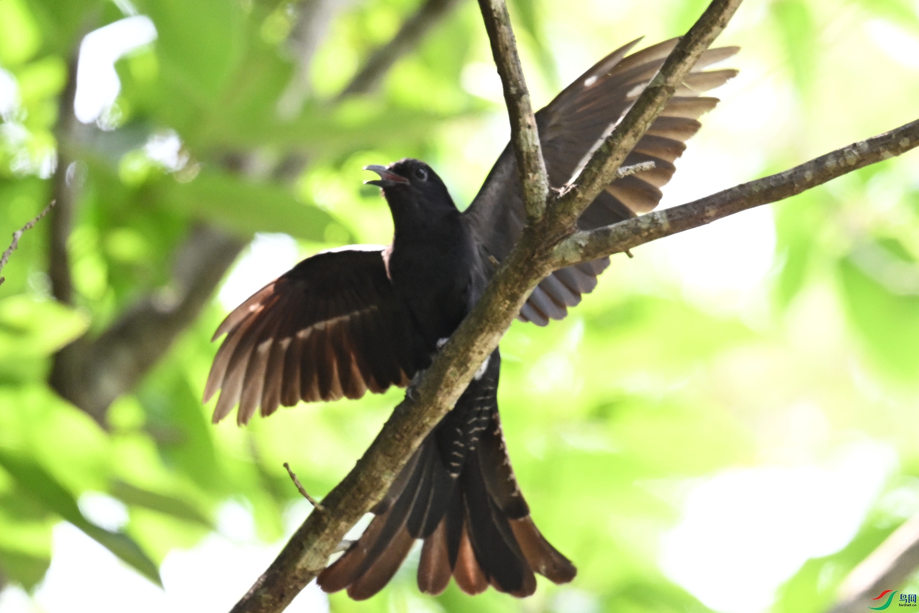 DSC_0816.JPG