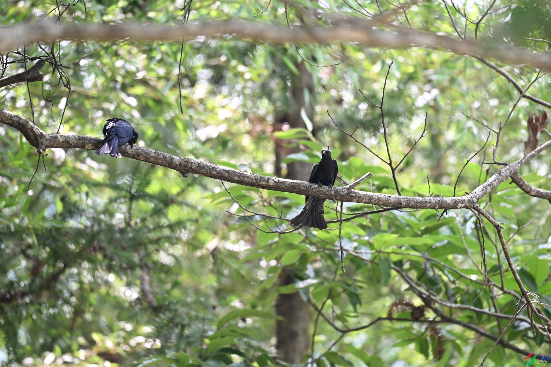 DSC_0779.JPG