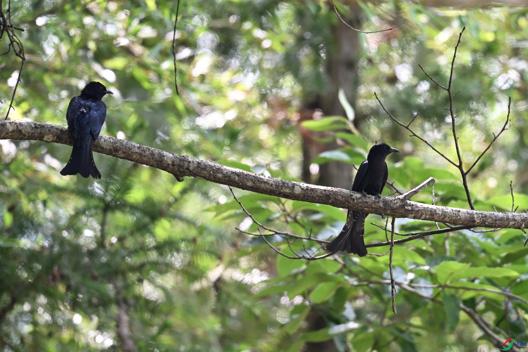 DSC_0784.JPG