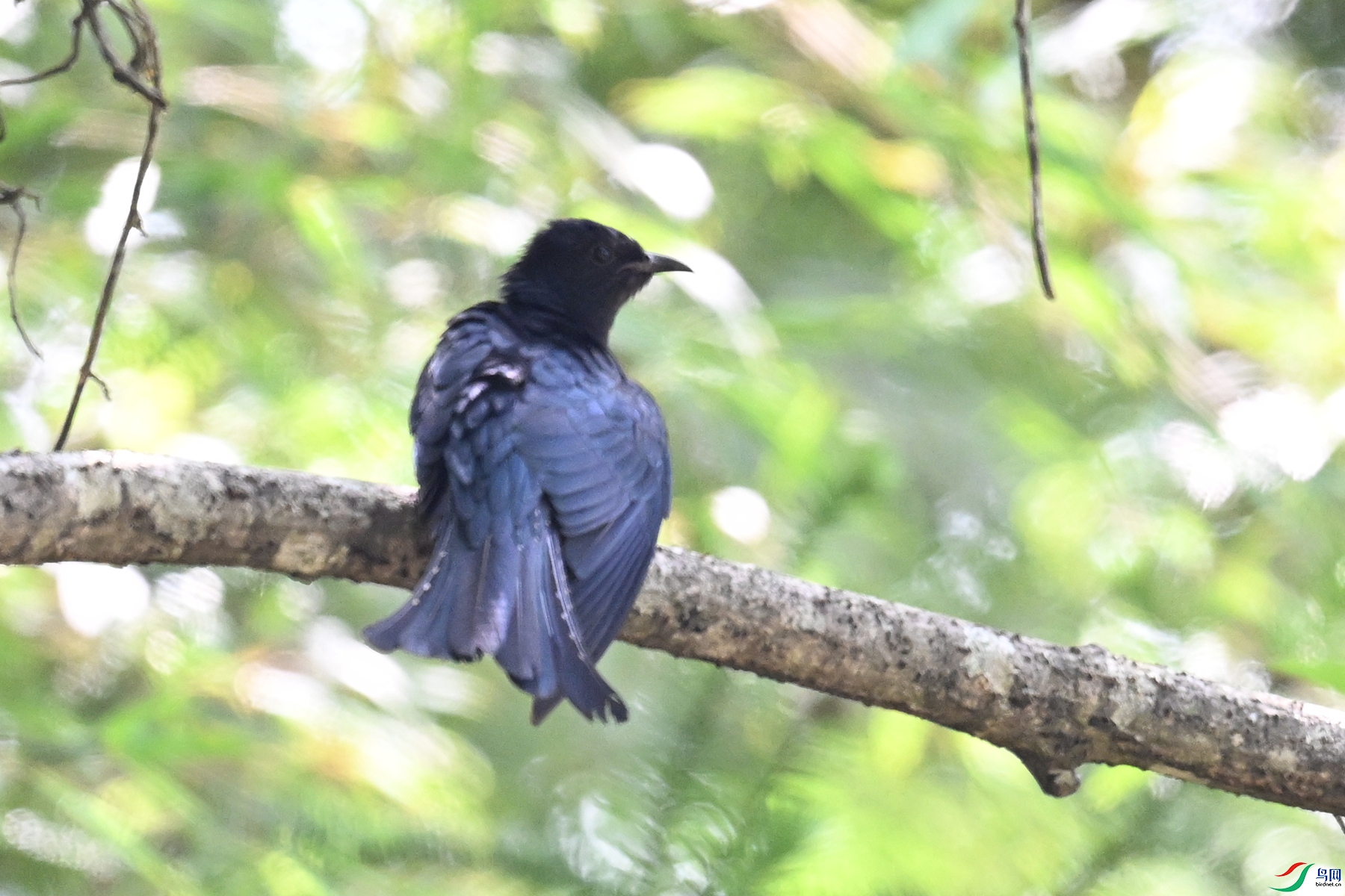 DSC_0799.JPG