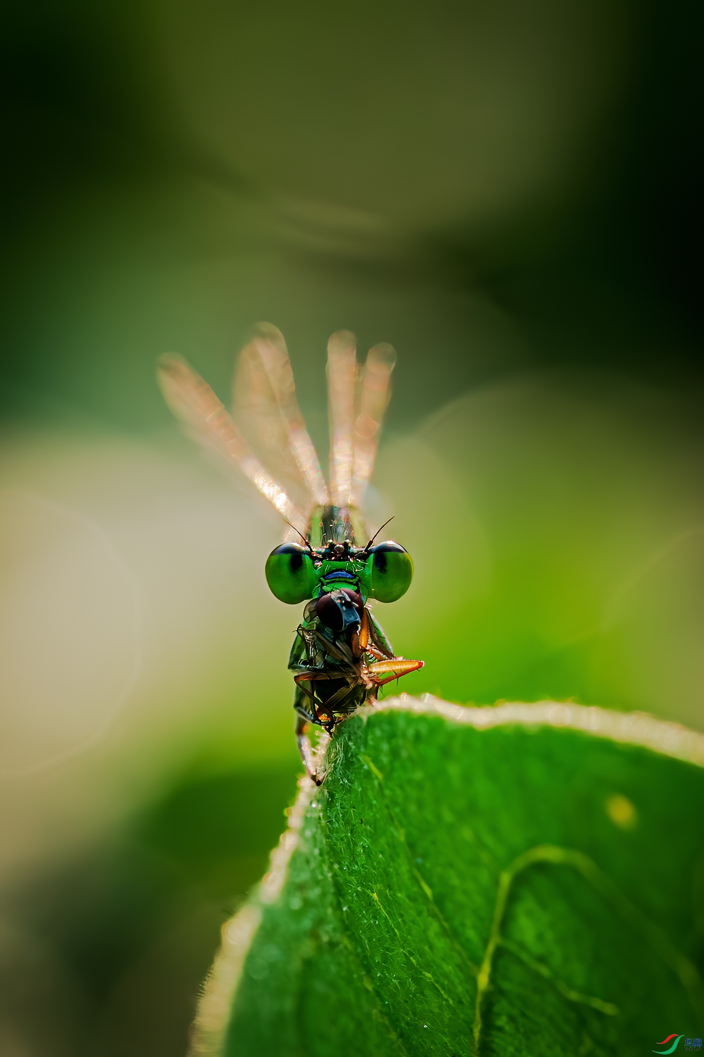DSC03719_����.jpg
