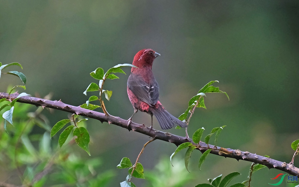 DSCF5956.1.jpg