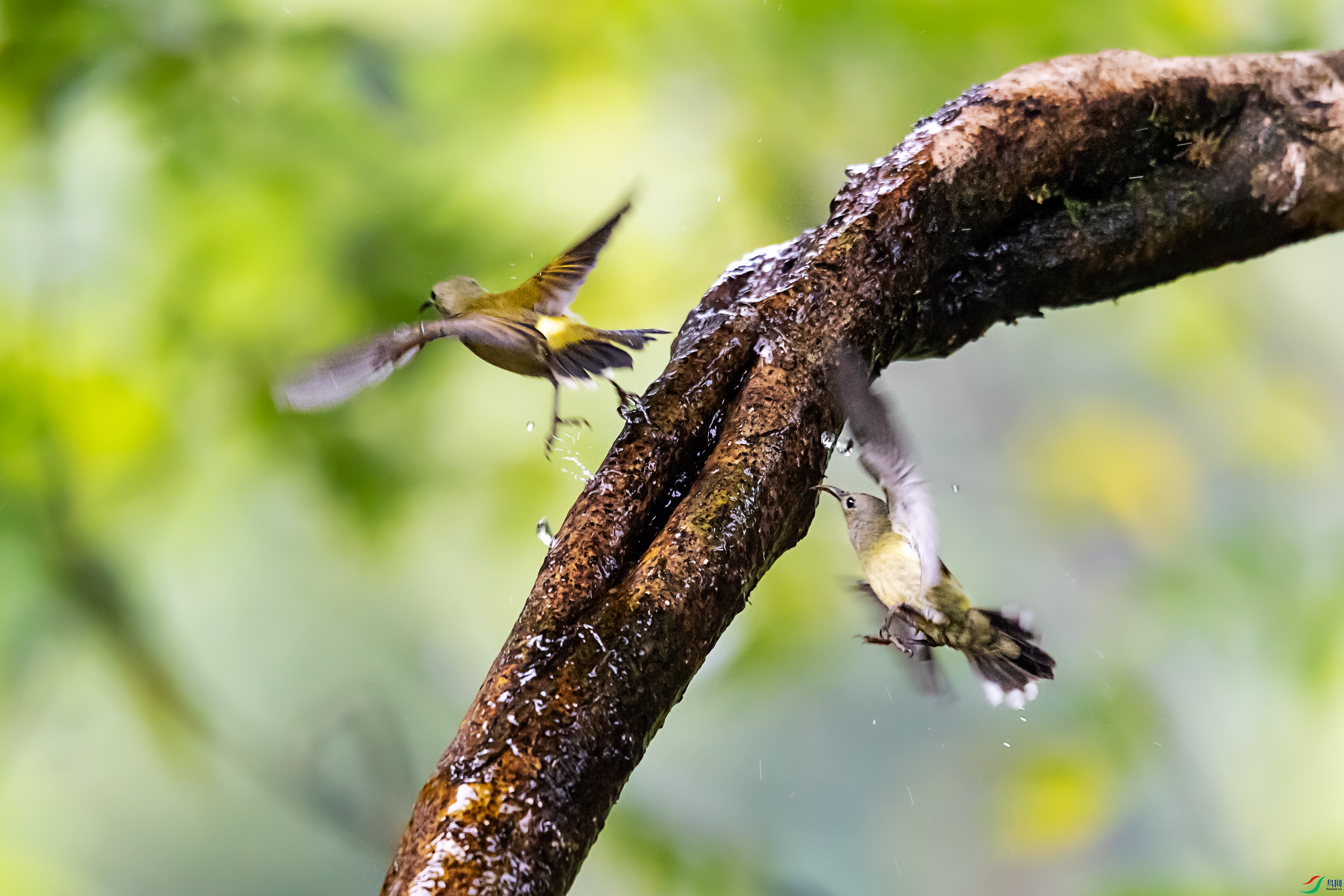 278A8348.jpg