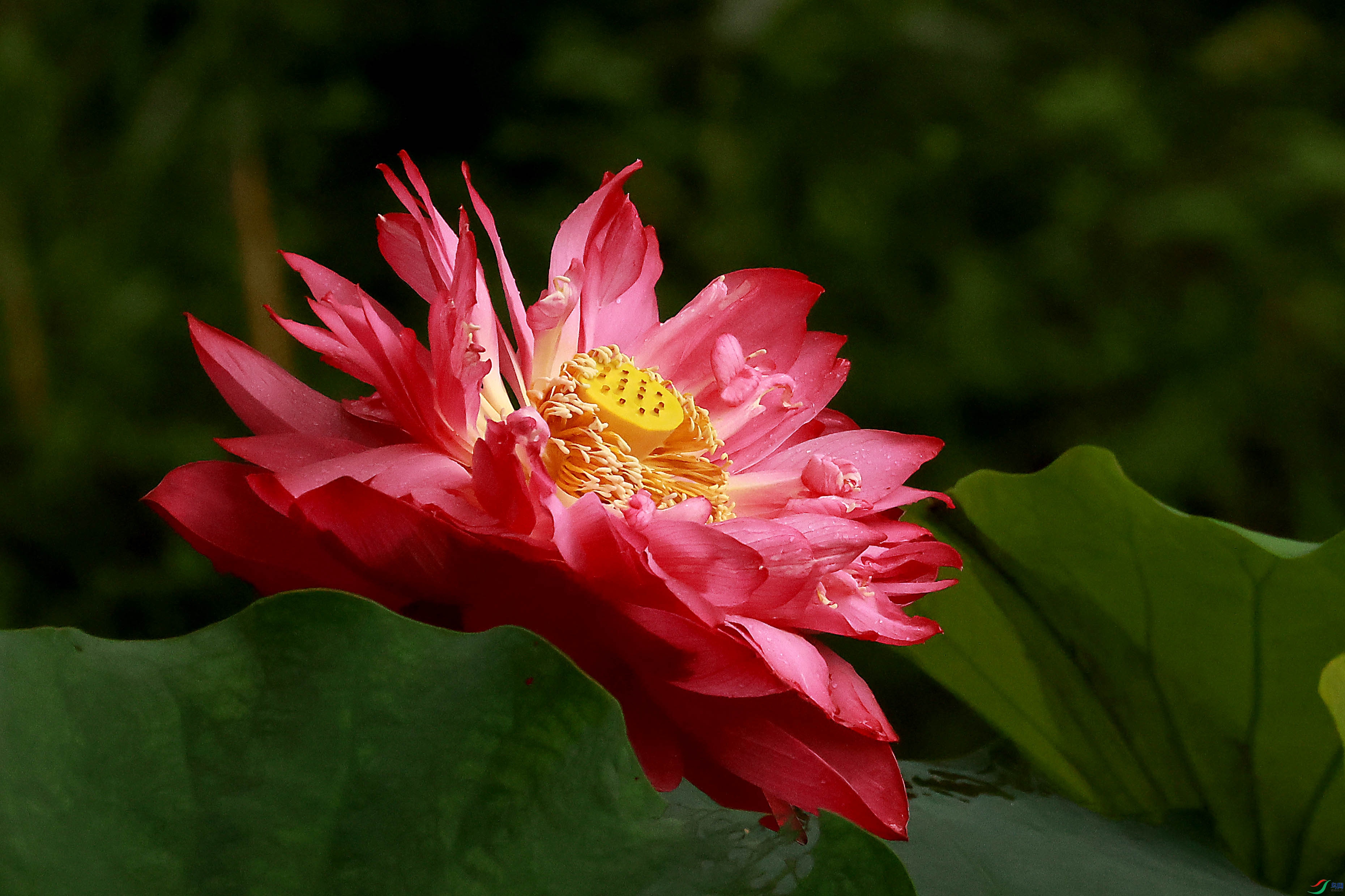 2G9A1655.JPG