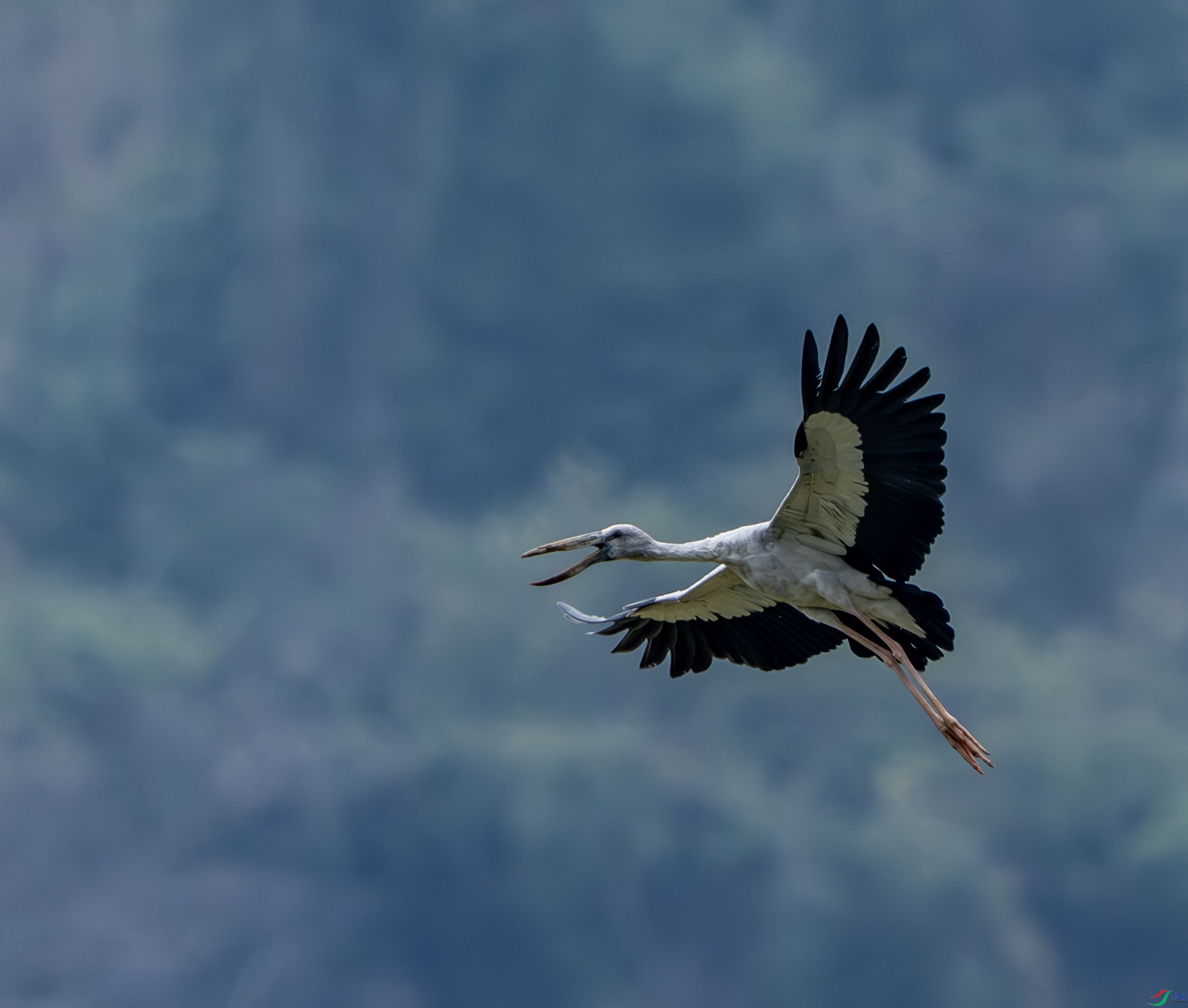 ǯ����-10-3.jpg