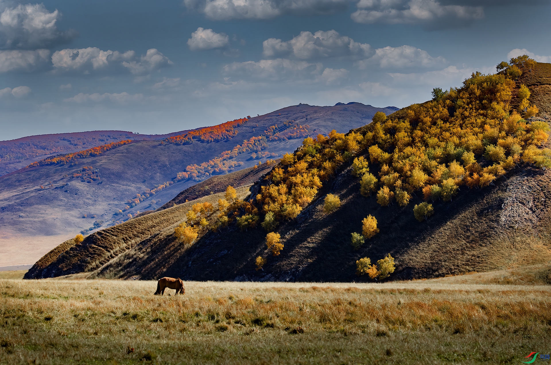 _DSC7055- ��ɫCCC.jpg