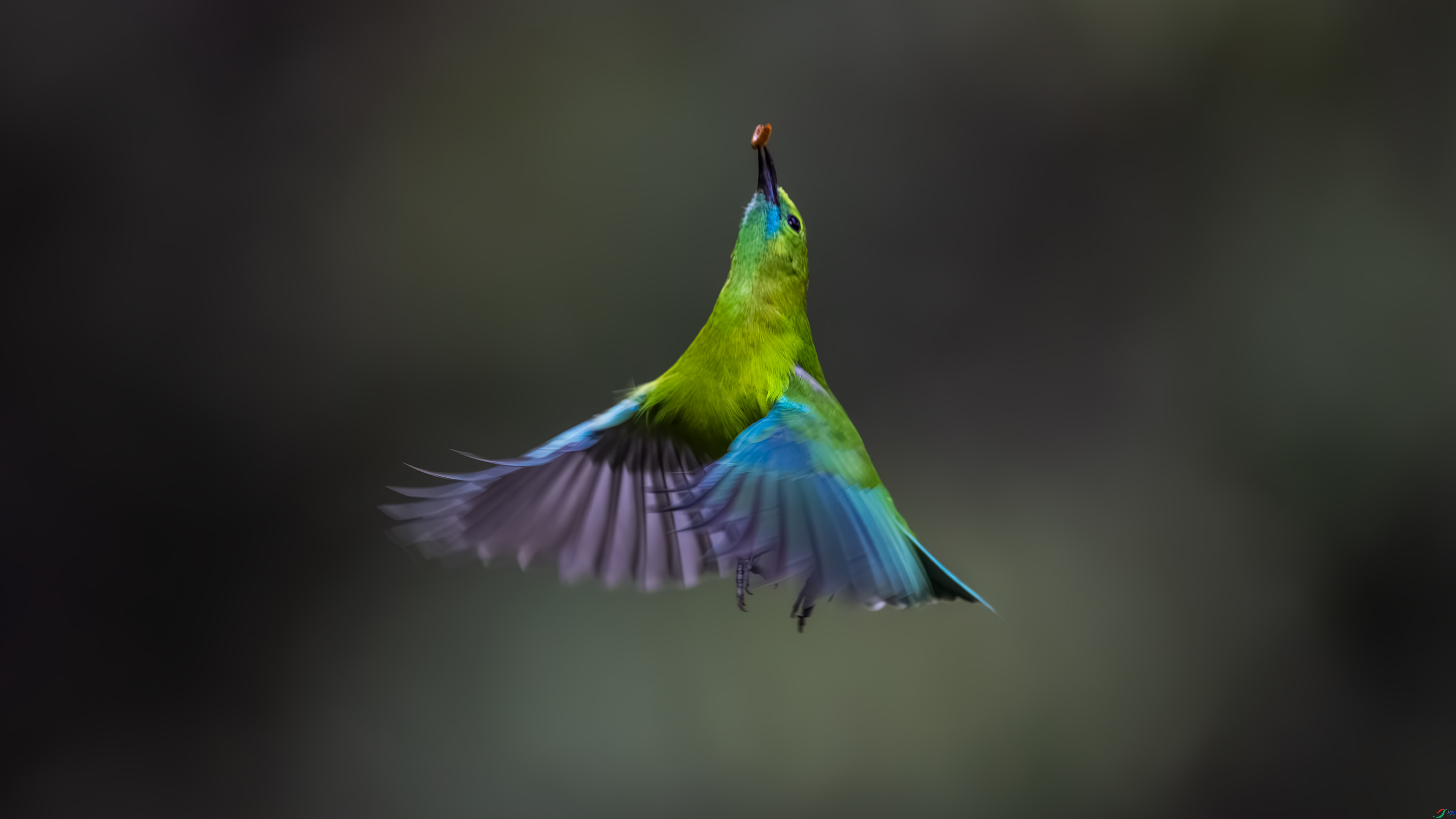 _O7A0146-666.jpg