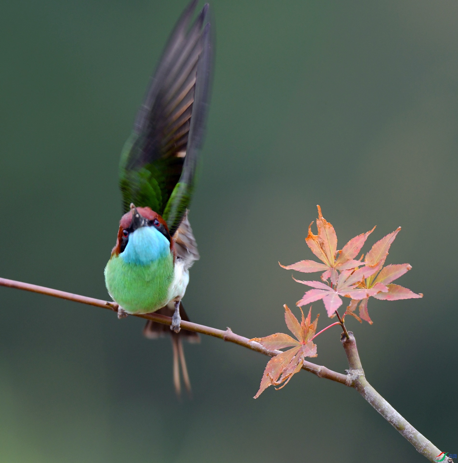 DSC_1008.jpg