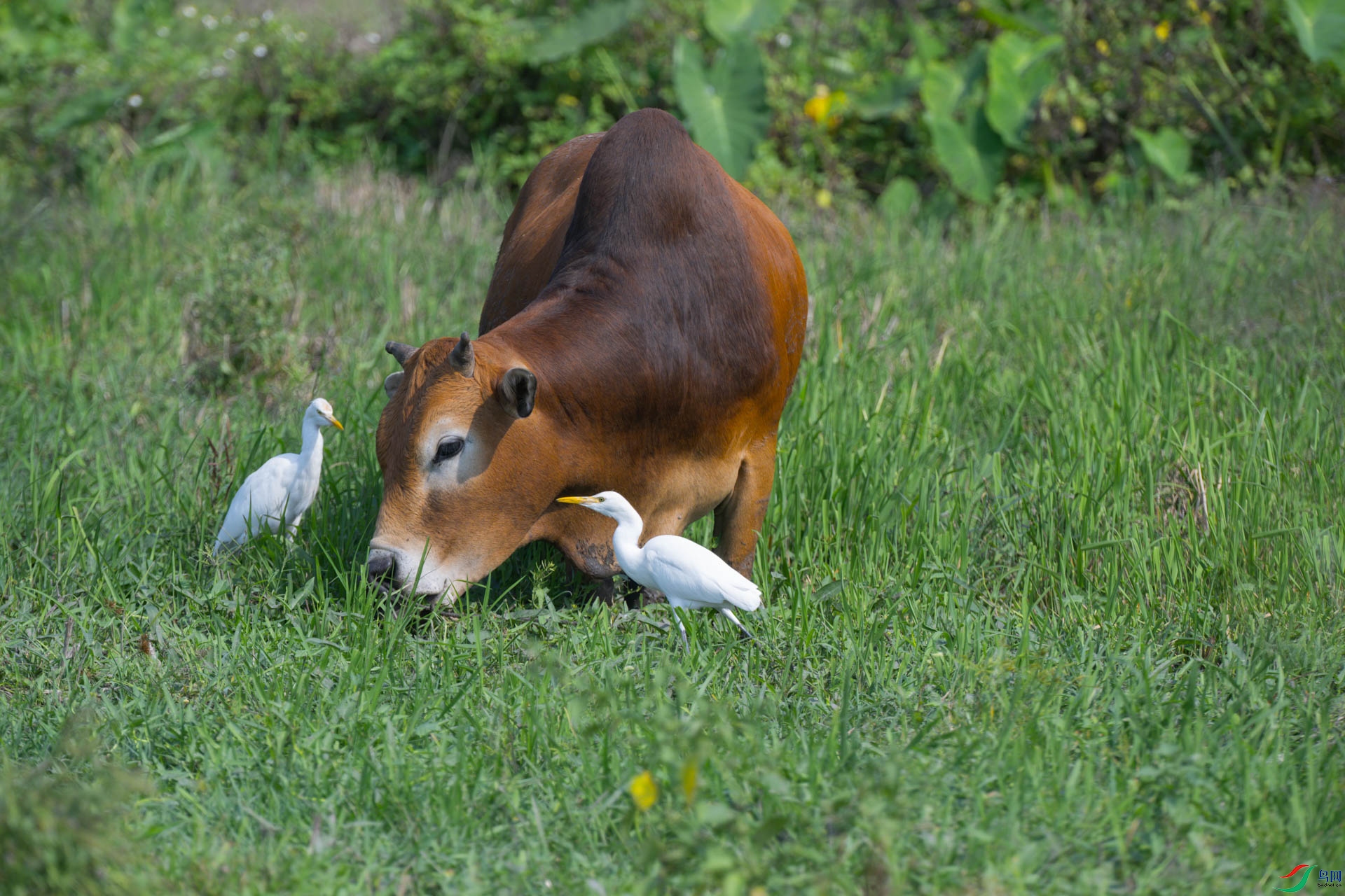 DSC_0072sen2024-2-4-4-�༭-2.jpg