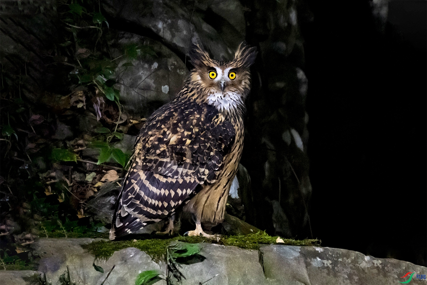 DSC_1726 .jpg