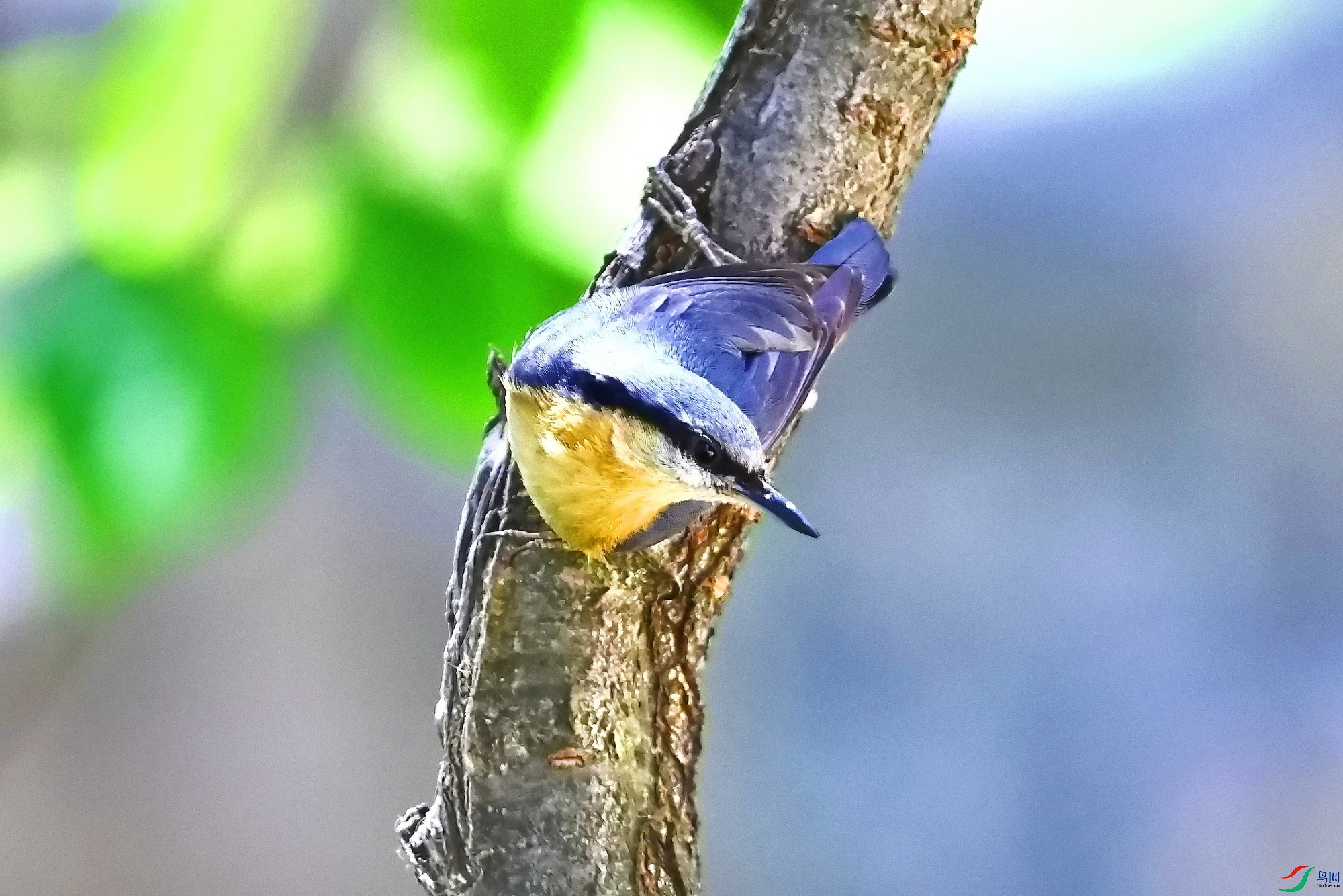 IMG_9117-1.JPG