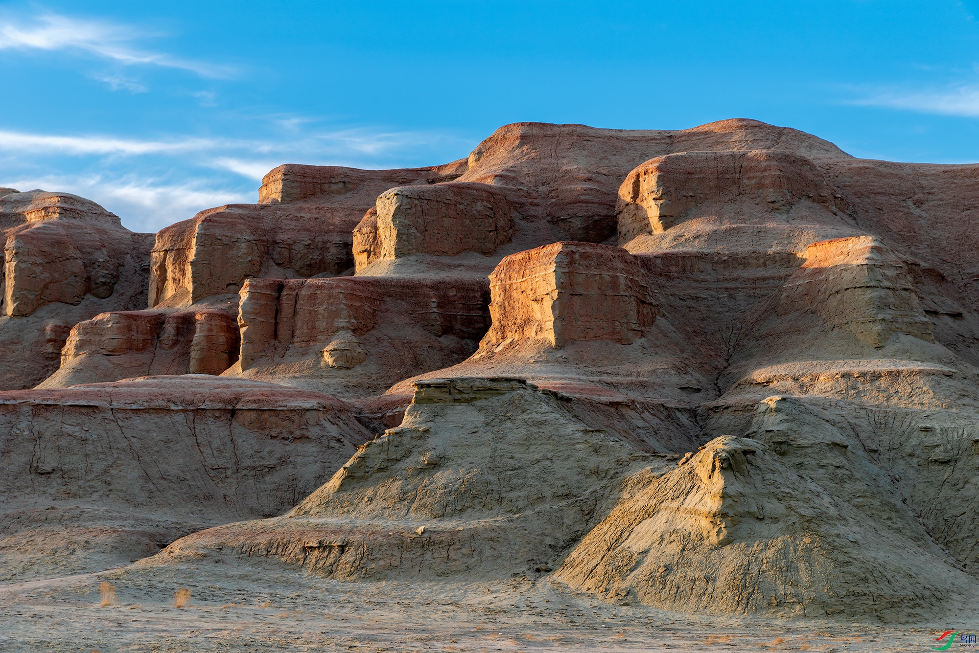 DSC_0482a.jpg