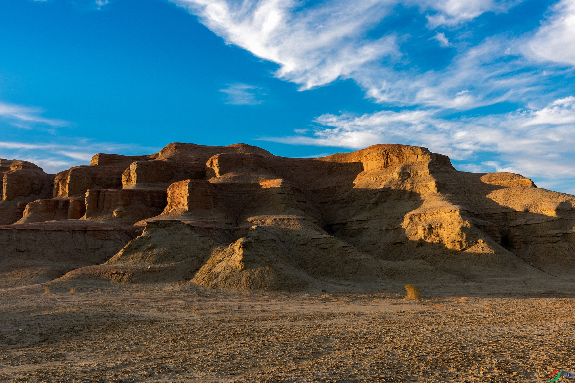DSC_0480a.jpg