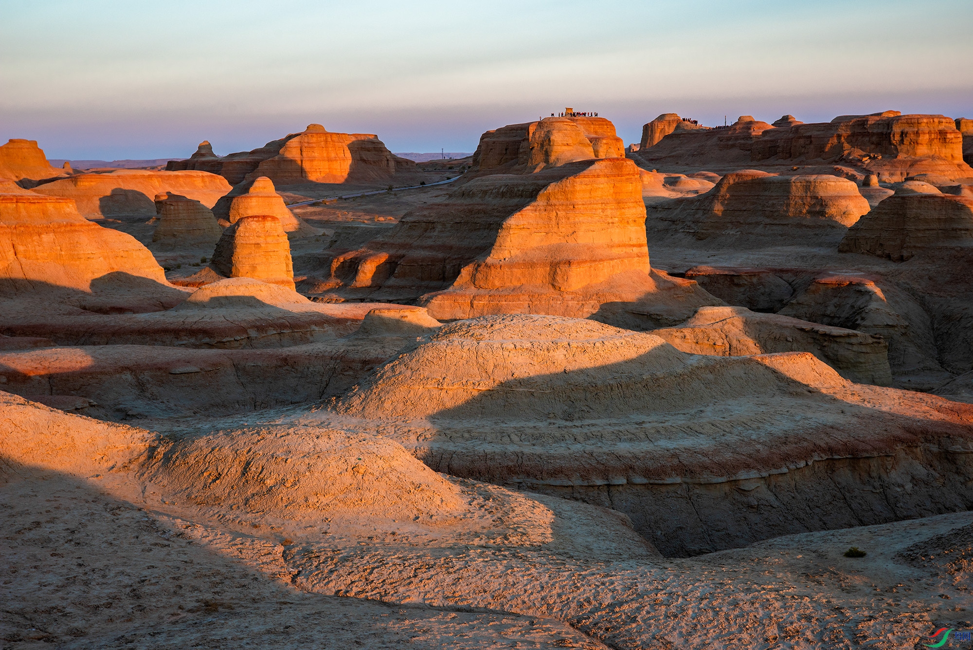 DSC_0610a.jpg