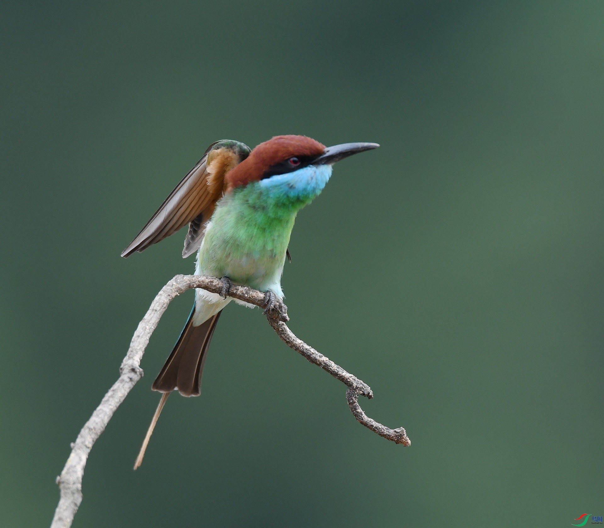 DSC_6708.jpg