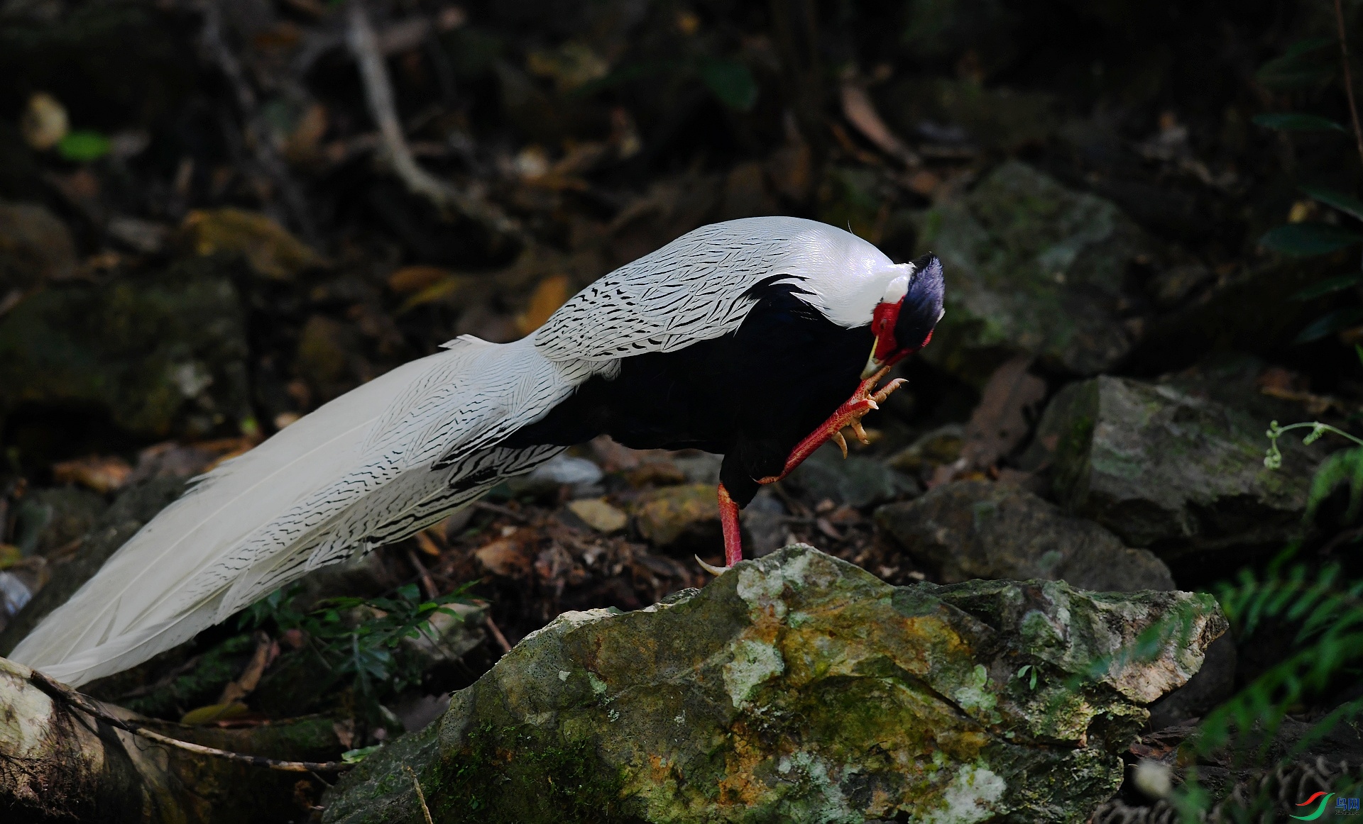 DSC_7713.jpg