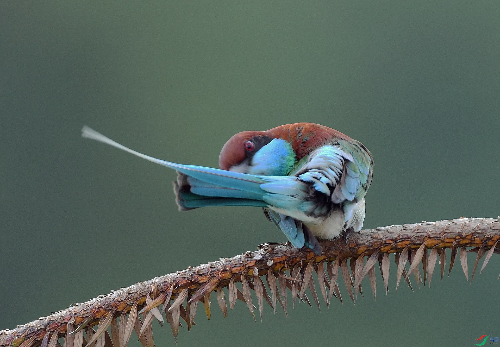 DSC_6705.jpg