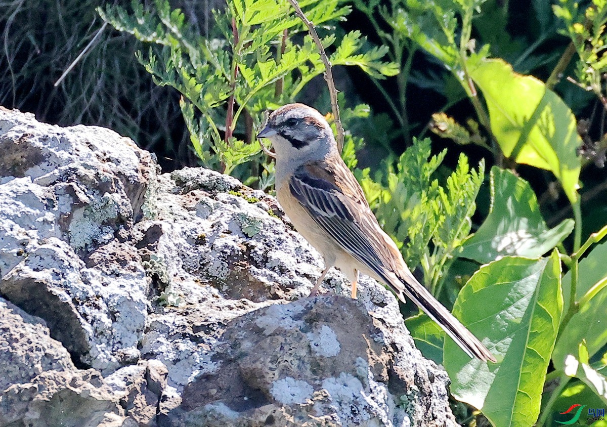 2026-335�������c.JPG