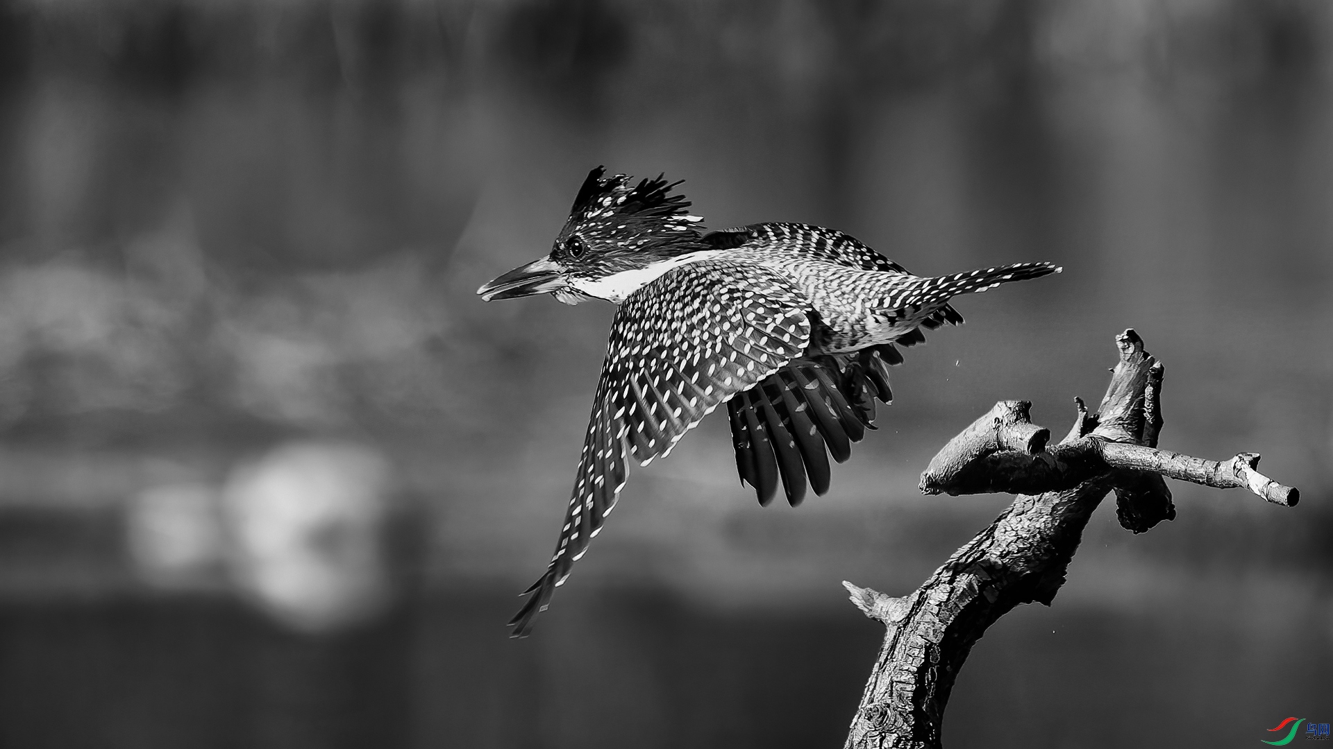 _DSC4263-1-20211112 �ü� .jpg