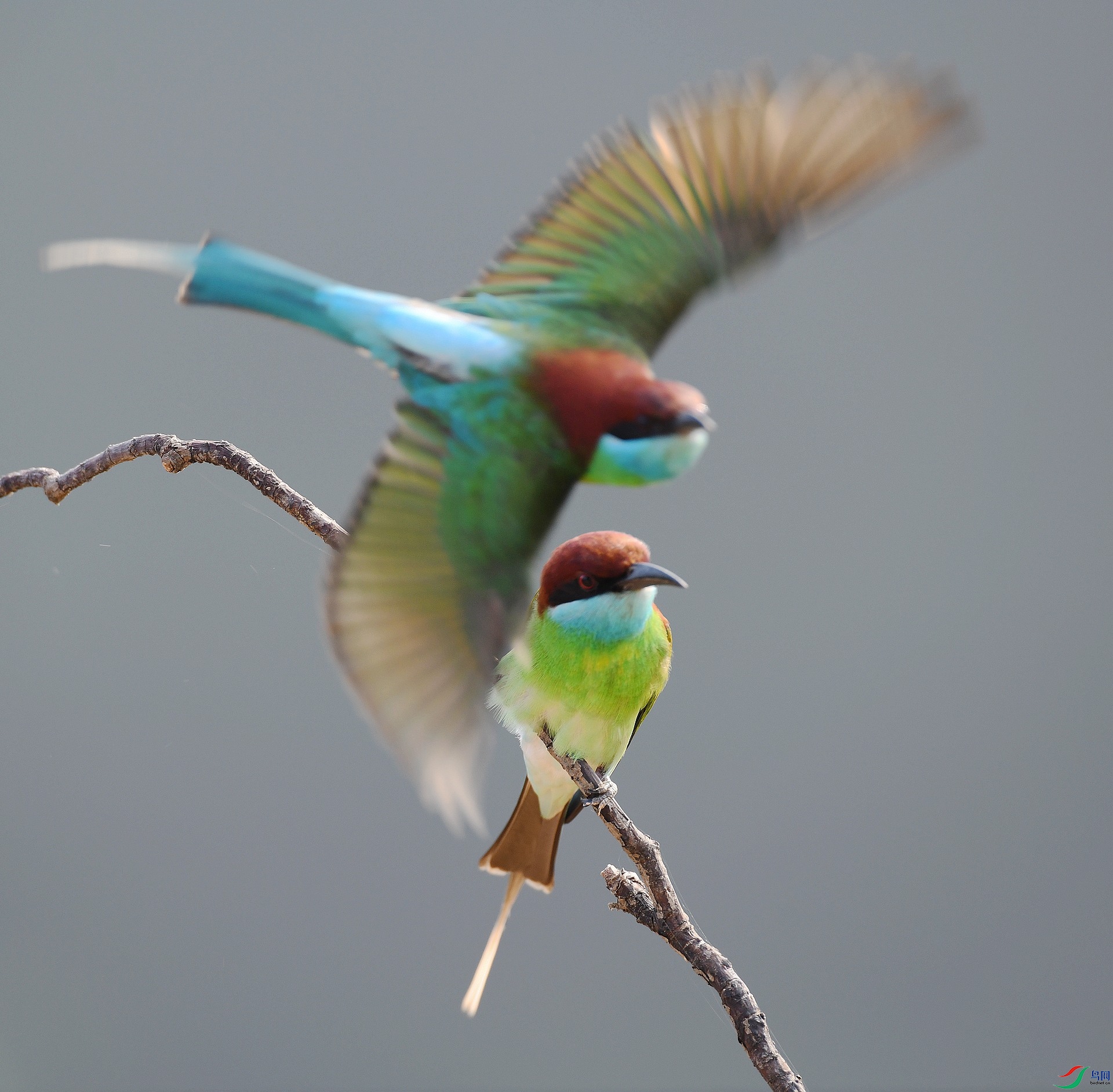 DSC_3344.jpg