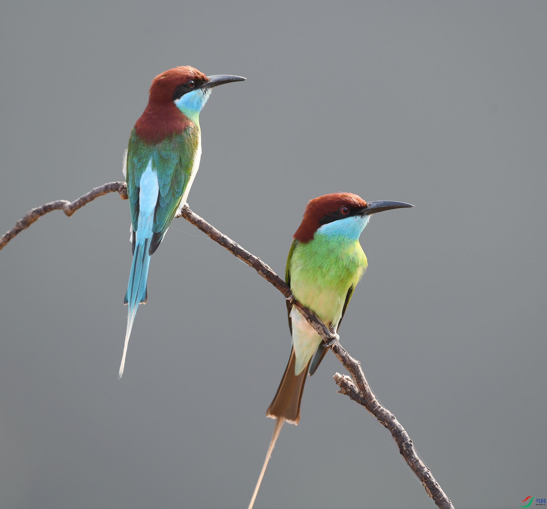DSC_3328.jpg
