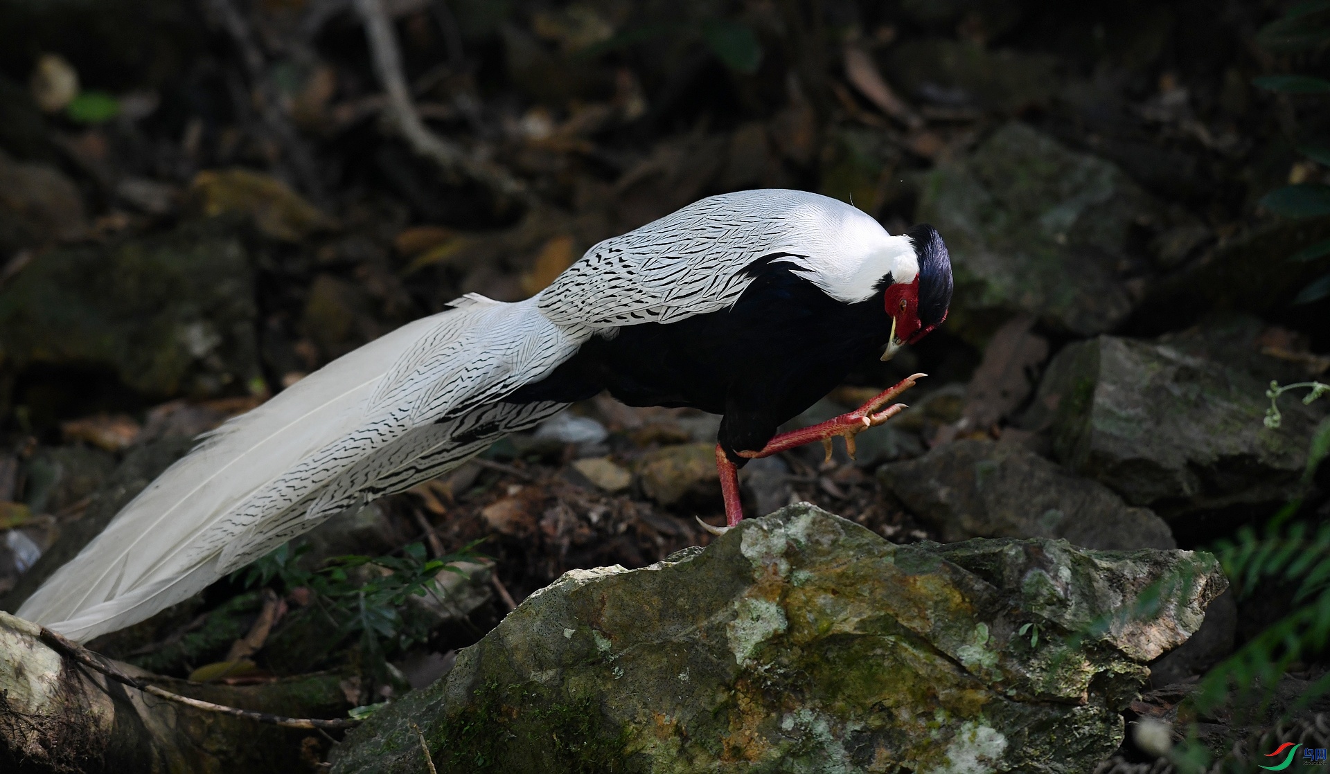 DSC_7710.jpg