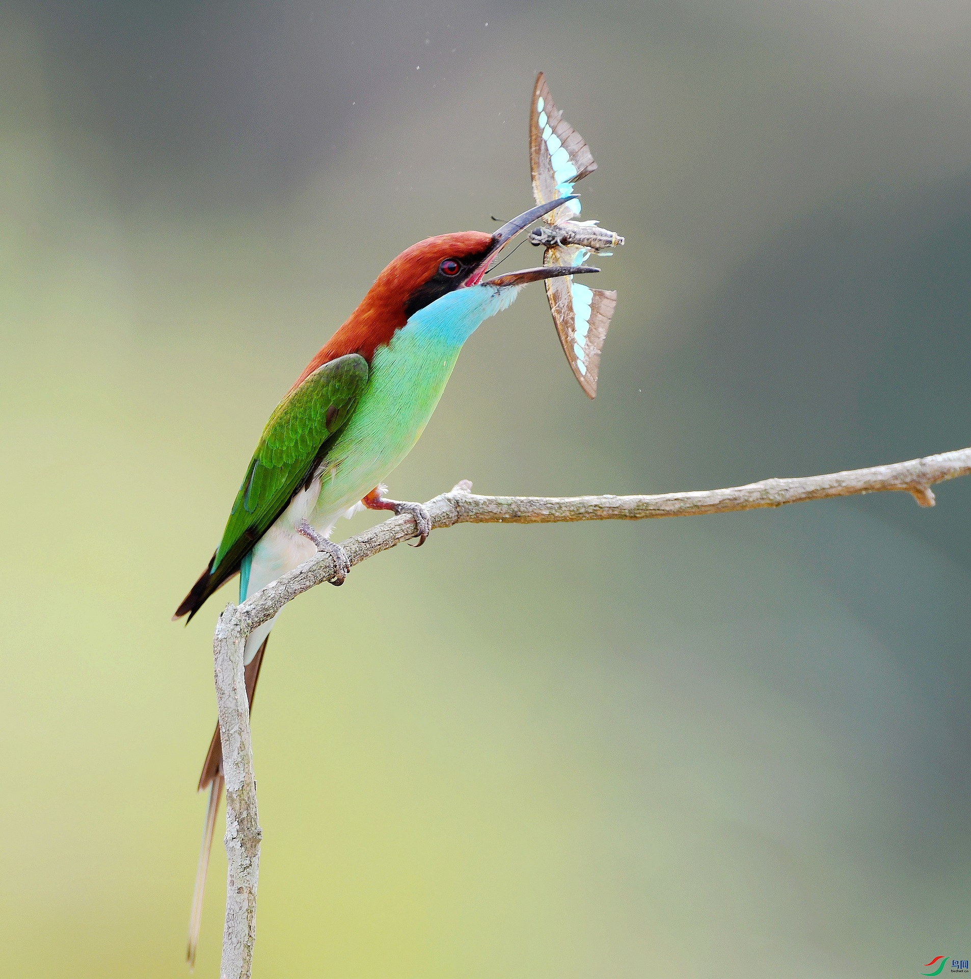 DSC_7078.jpg