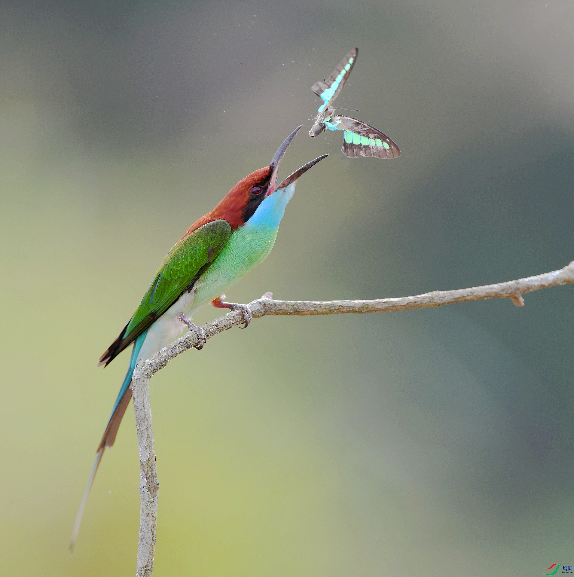 DSC_7073.jpg