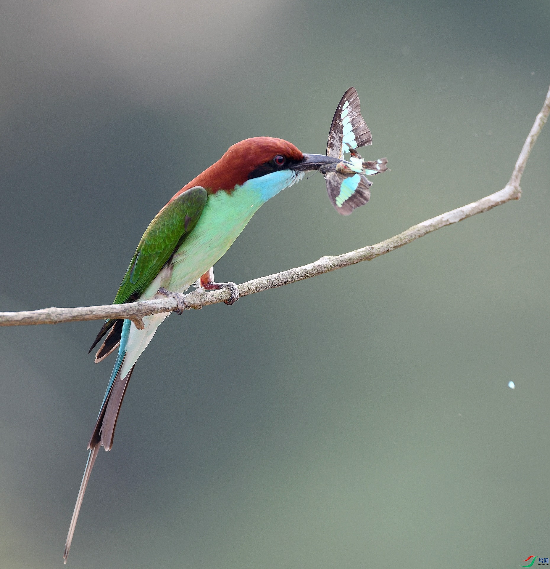 DSC_7061.jpg