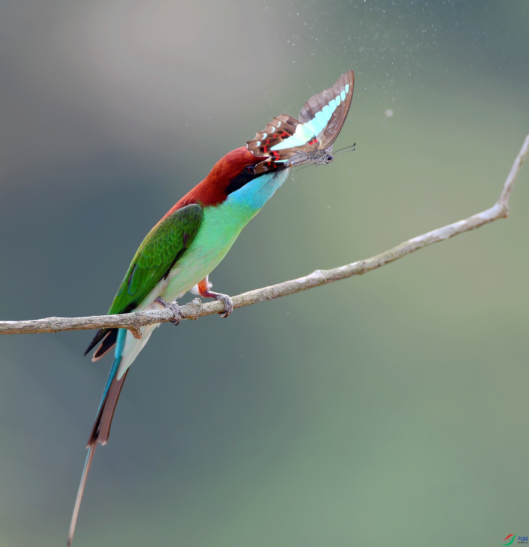 DSC_7016.jpg