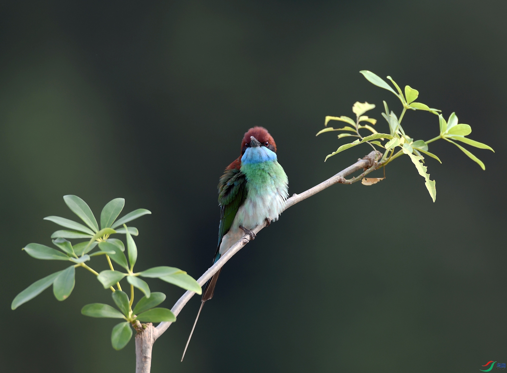 DSC_6704.jpg