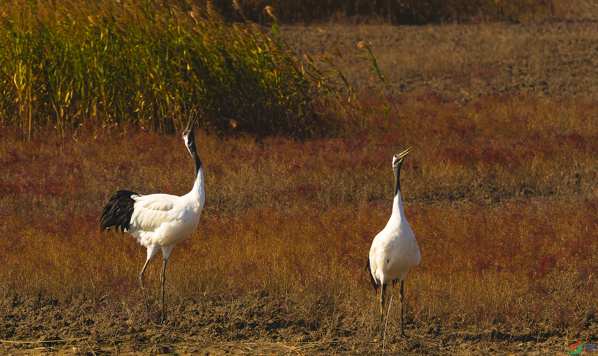 1G9A2830-1-1.jpg