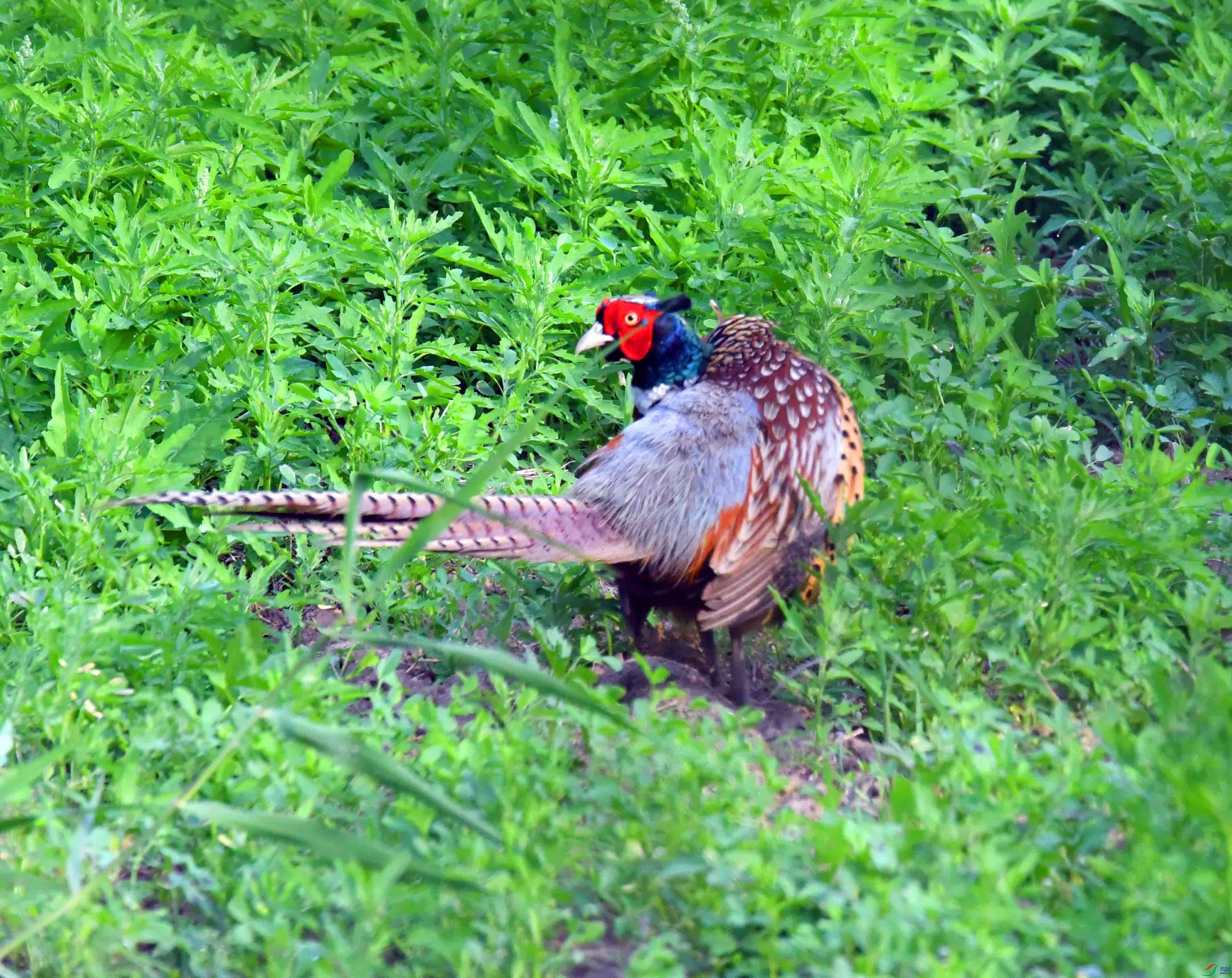 DSC_4073.JPG