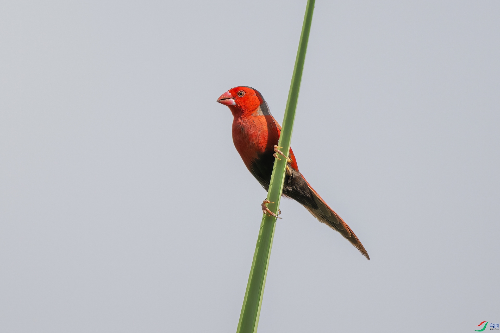 DSC_7503.jpg