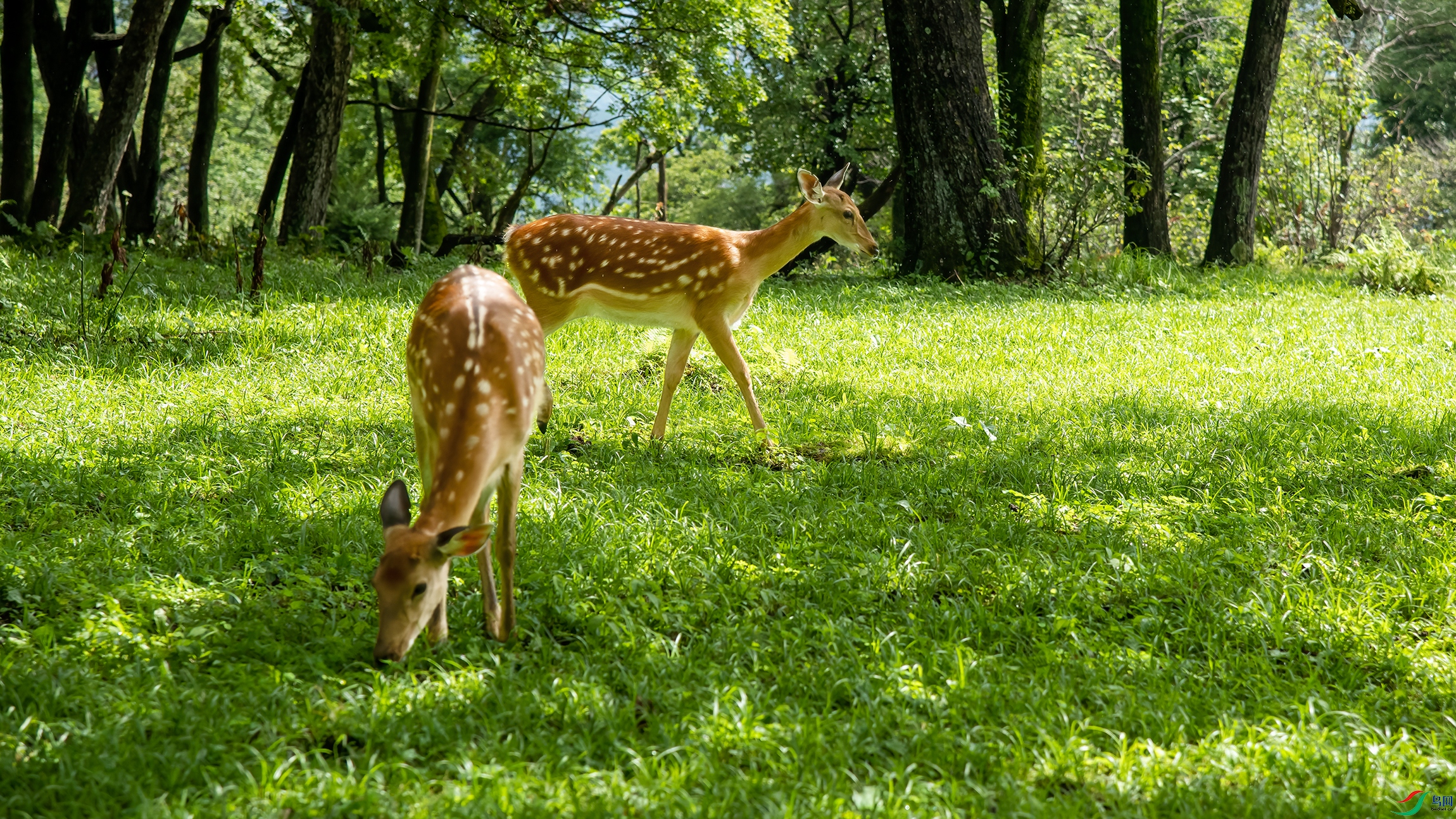 DSC_1845 ���� 2.jpg