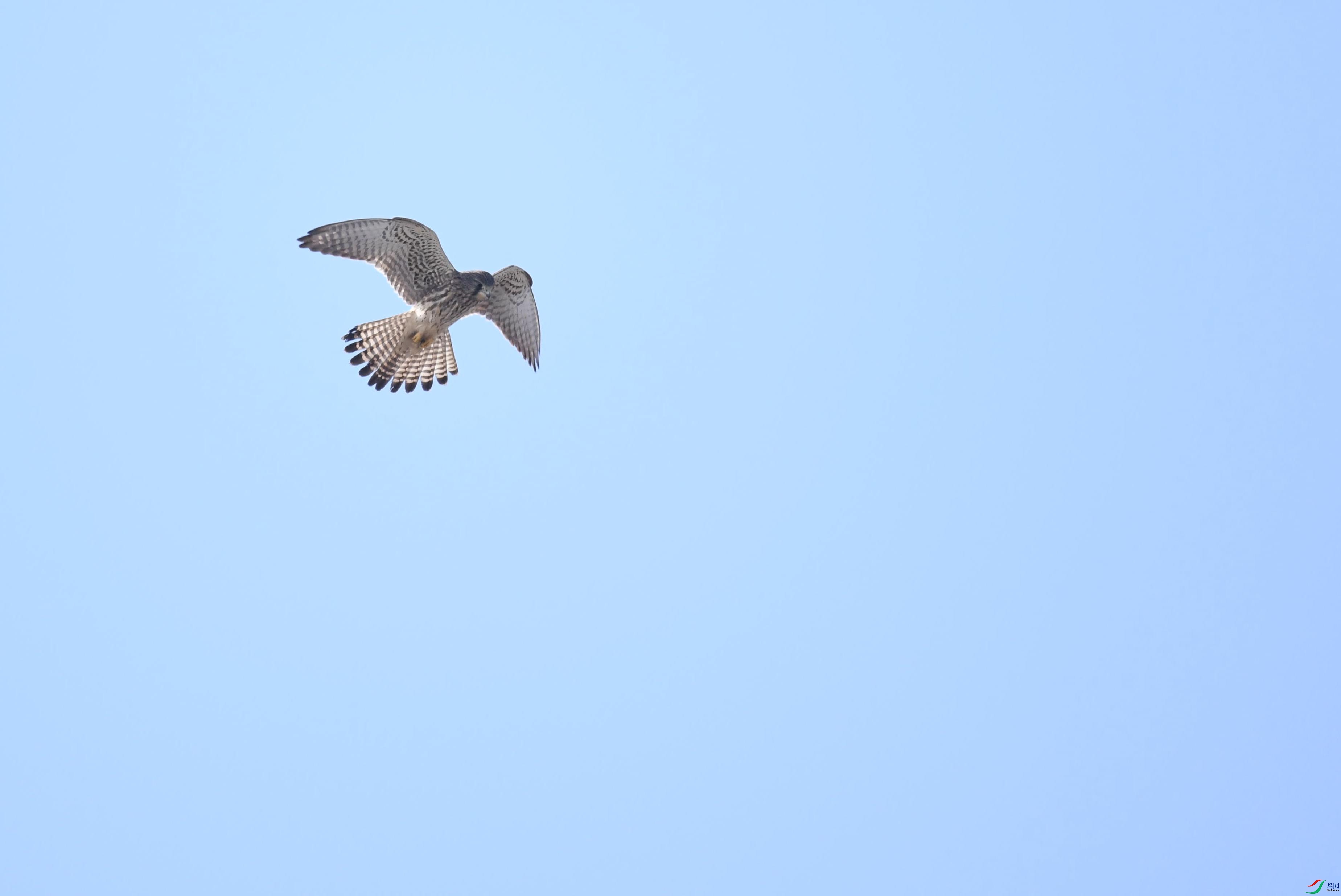 DSC_5092(1).jpg