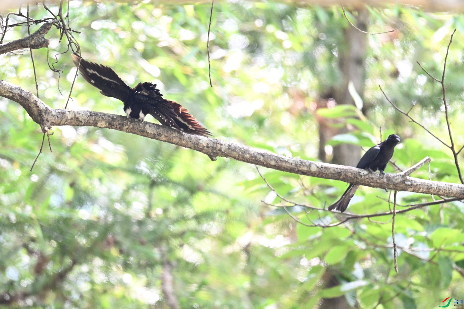 DSC_0786.JPG