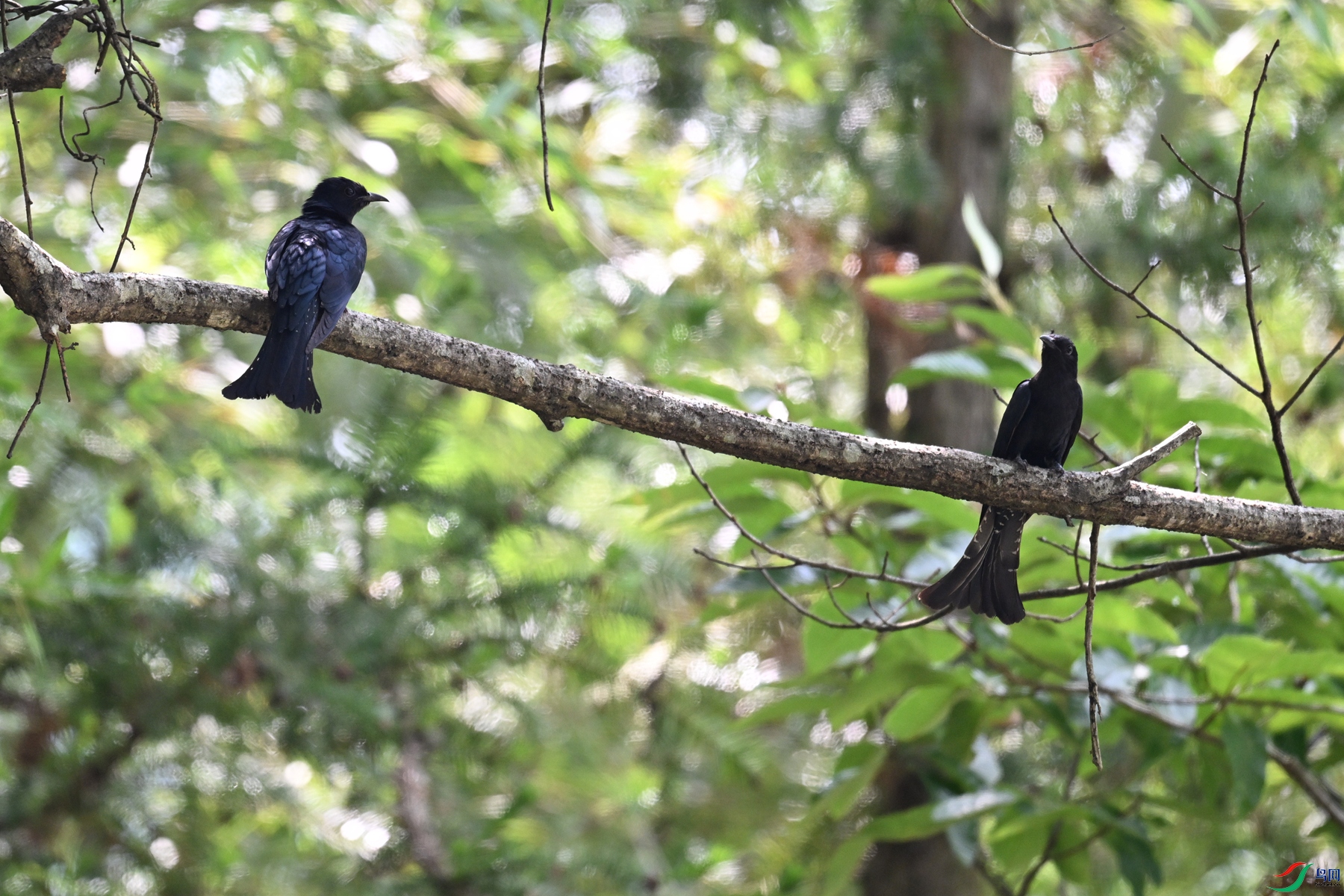 DSC_0790.JPG