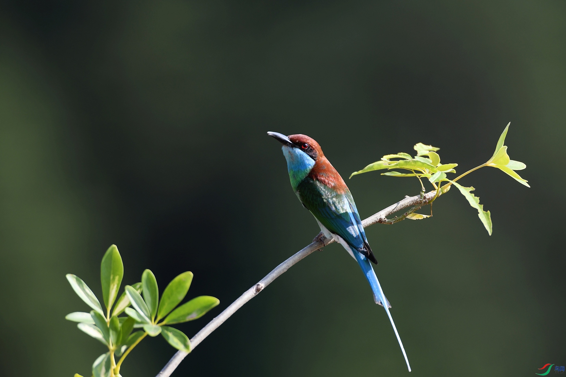 DSC_4316.jpg