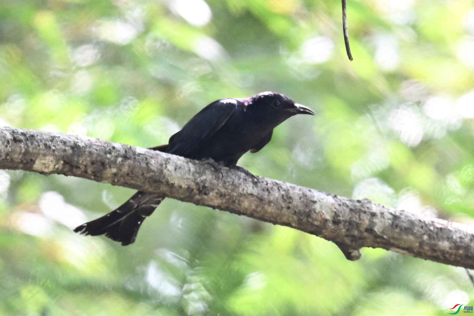 DSC_0808.JPG