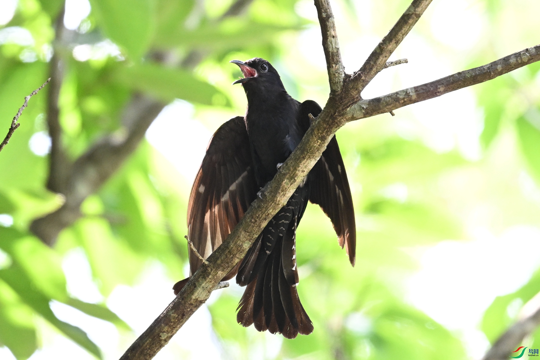 DSC_0840.JPG