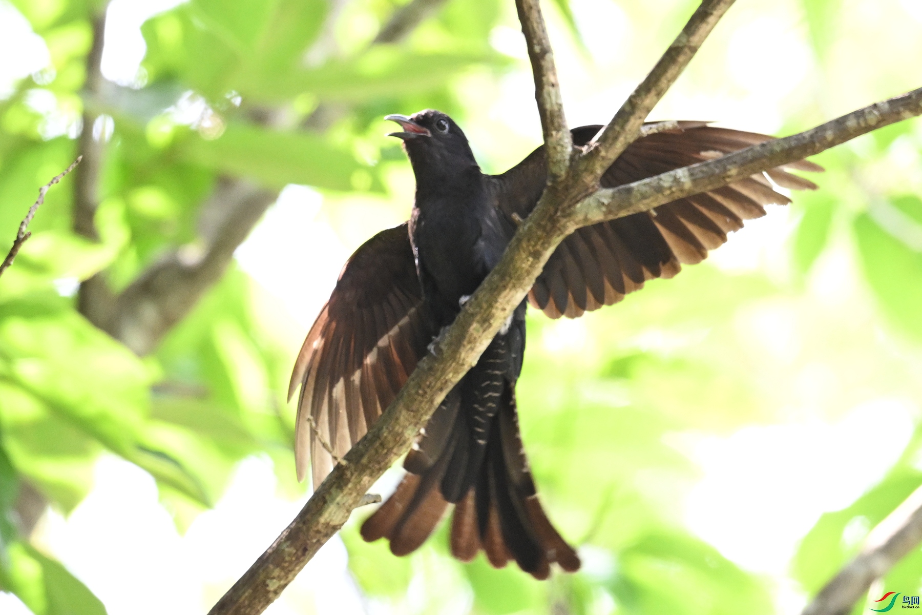 DSC_0828.JPG