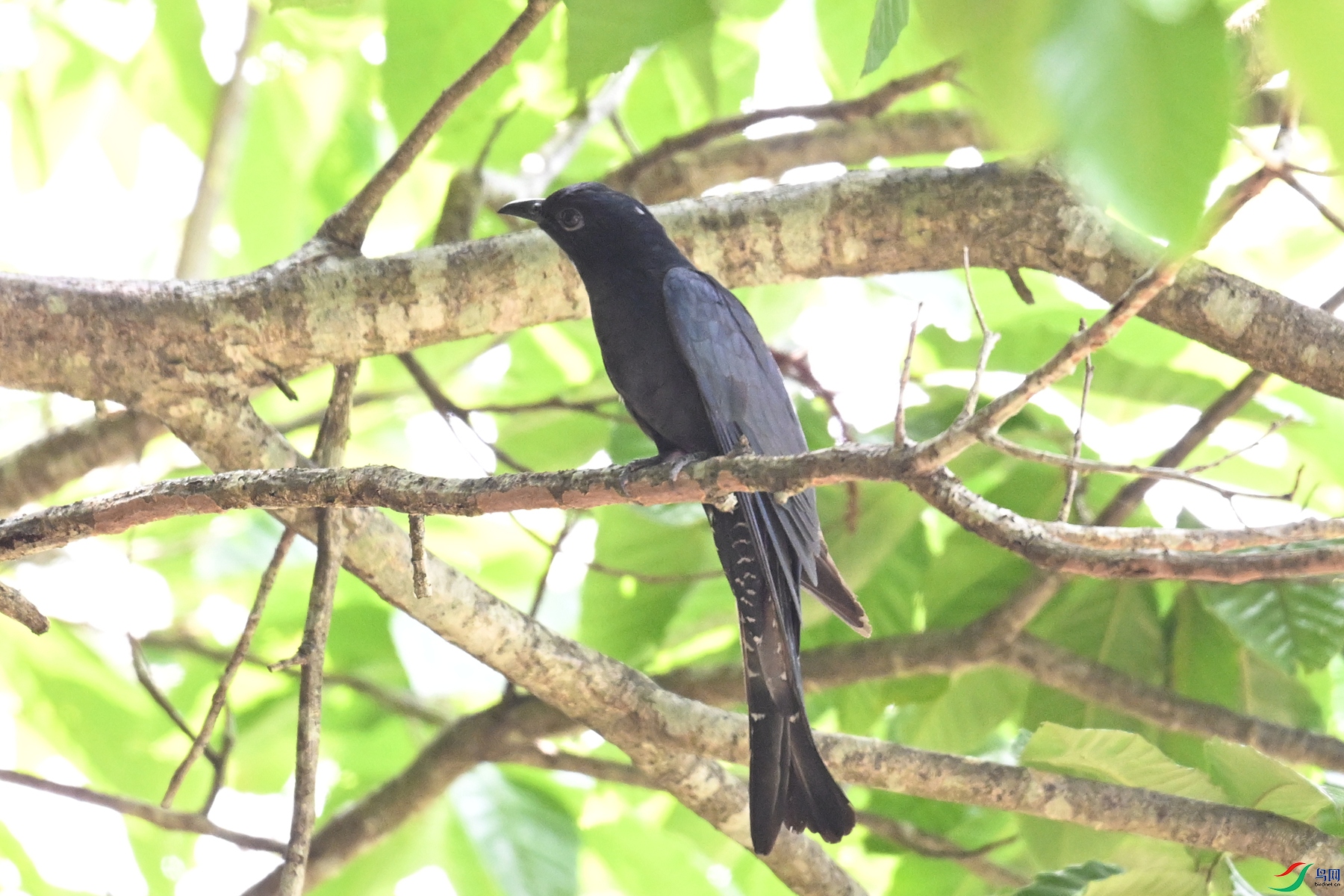 DSC_0875.JPG