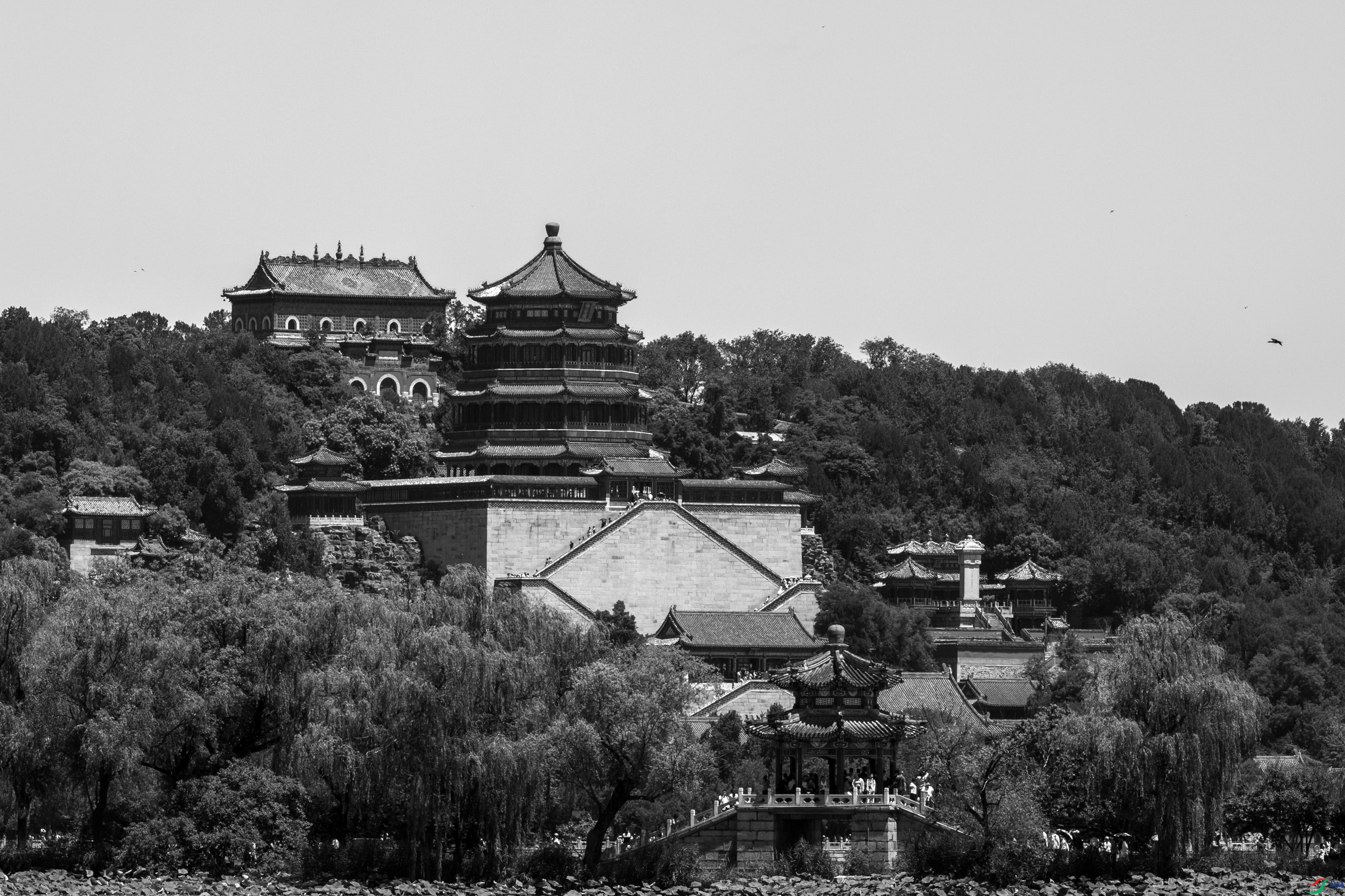 DSC_3631 ����.jpg