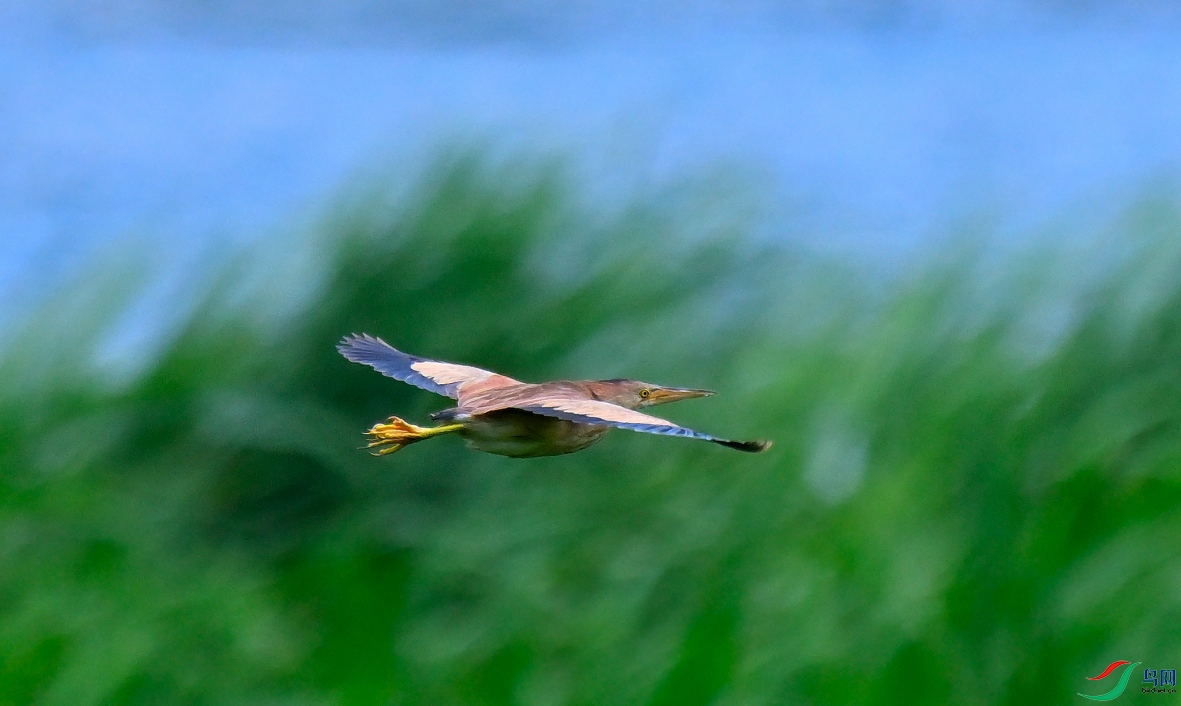DSC_2864-20260620_114519_DSC_2864_1815DSC_2864-20260620_114519_DSC_2864.JPG