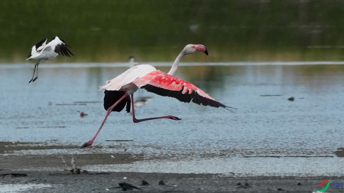 DSC02118-1.jpg