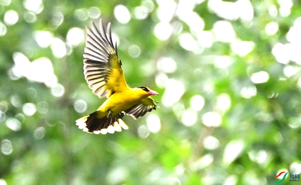 DSC_3968.JPG